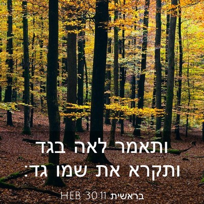 Picture 03 - בראשית 30:11 HEB - ותאמר לאה בגד ותקרא את שמו - Bible Verse Picture