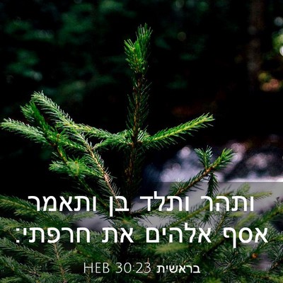 Picture 03 - בראשית 30:23 HEB - ותהר ותלד בן ותאמר אסף - Bible Verse Picture