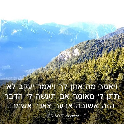 Picture 03 - בראשית 30:31 HEB - ויאמר מה אתן לך ויאמר יעקב - Bible Verse Picture