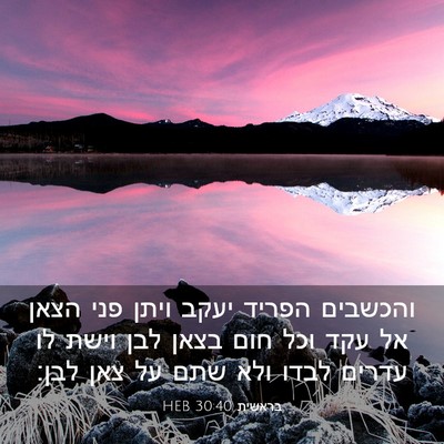 Picture 03 - בראשית 30:40 HEB - והכשבים הפריד יעקב ויתן - Bible Verse Picture