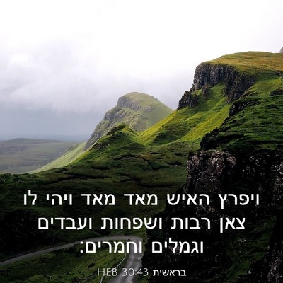 Picture 03 - בראשית 30:43 HEB - ויפרץ האיש מאד מאד ויהי לו - Bible Verse Picture