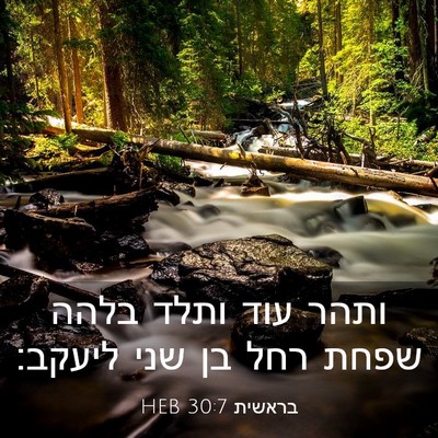 Picture 03 - בראשית 30:7 HEB - ותהר עוד ותלד בלהה שפחת רחל - Bible Verse Picture