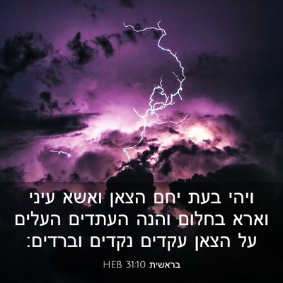Picture 03 - בראשית 31:10 HEB - ויהי בעת יחם הצאן ואשא עיני - Bible Verse Picture