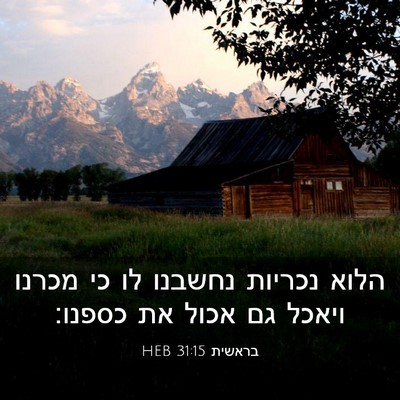 Picture 03 - בראשית 31:15 HEB - הלוא נכריות נחשבנו לו כי - Bible Verse Picture