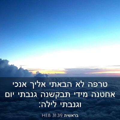 Picture 03 - בראשית 31:39 HEB - טרפה לא הבאתי אליך אנכי - Bible Verse Picture