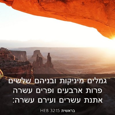Picture 03 - בראשית 32:15 HEB - גמלים מיניקות ובניהם שלשים - Bible Verse Picture