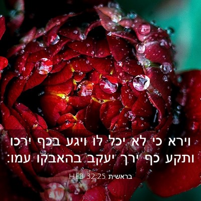 Picture 03 - בראשית 32:25 HEB - וירא כי לא יכל לו ויגע בכף - Bible Verse Picture