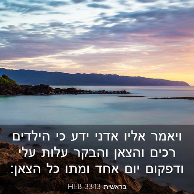 Picture 03 - בראשית 33:13 HEB - ויאמר אליו אדני ידע כי - Bible Verse Picture