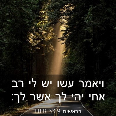 Picture 03 - בראשית 33:9 HEB - ויאמר עשו יש לי רב אחי יהי - Bible Verse Picture