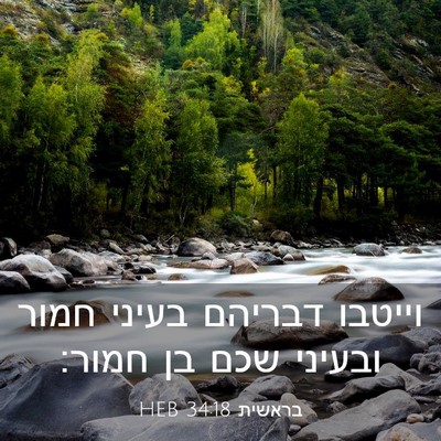Picture 03 - בראשית 34:18 HEB - וייטבו דבריהם בעיני חמור - Bible Verse Picture