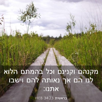 Picture 03 - בראשית 34:23 HEB - מקנהם וקנינם וכל בהמתם - Bible Verse Picture
