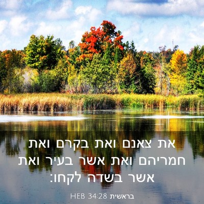 Picture 03 - בראשית 34:28 HEB - את צאנם ואת בקרם ואת חמריהם - Bible Verse Picture