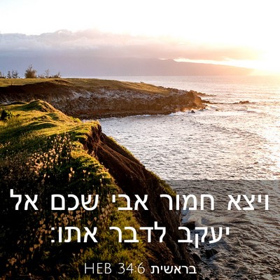 Picture 03 - בראשית 34:6 HEB - ויצא חמור אבי שכם אל יעקב - Bible Verse Picture