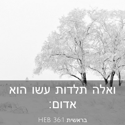 Picture 03 - בראשית 36:1 HEB - ואלה תלדות עשו הוא - Bible Verse Picture