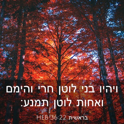 Picture 03 - בראשית 36:22 HEB - ויהיו בני לוטן חרי והימם - Bible Verse Picture