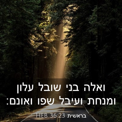 Picture 03 - בראשית 36:23 HEB - ואלה בני שובל עלון ומנחת - Bible Verse Picture