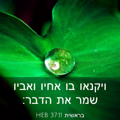 Picture 03 - בראשית 37:11 HEB - ויקנאו בו אחיו ואביו שמר את - Bible Verse Picture