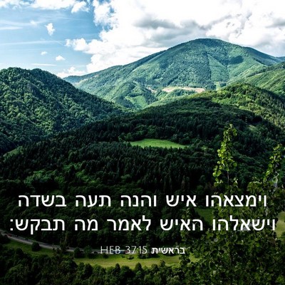 Picture 03 - בראשית 37:15 HEB - וימצאהו איש והנה תעה בשדה - Bible Verse Picture