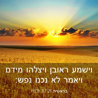 Picture 03 - בראשית 37:21 HEB - וישמע ראובן ויצלהו מידם - Bible Verse Picture