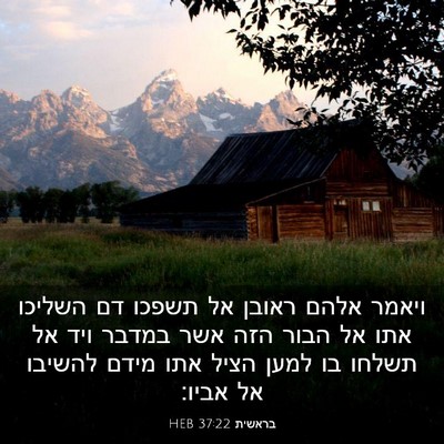Picture 03 - בראשית 37:22 HEB - ויאמר אלהם ראובן אל תשפכו - Bible Verse Picture