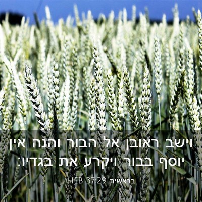 Picture 03 - בראשית 37:29 HEB - וישב ראובן אל הבור והנה אין - Bible Verse Picture