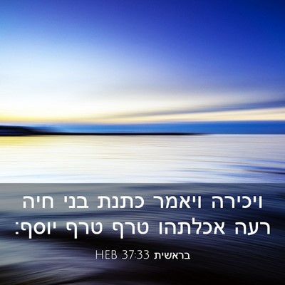 Picture 03 - בראשית 37:33 HEB - ויכירה ויאמר כתנת בני חיה - Bible Verse Picture