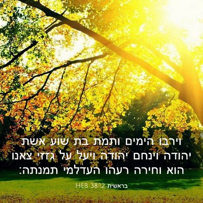 Picture 03 - בראשית 38:12 HEB - וירבו הימים ותמת בת שוע אשת - Bible Verse Picture