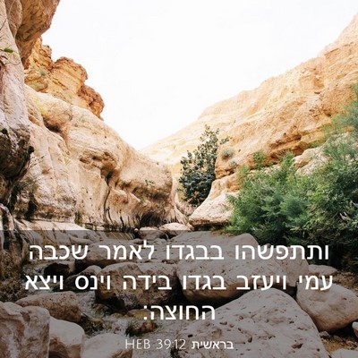 Picture 03 - בראשית 39:12 HEB - ותתפשהו בבגדו לאמר שכבה - Bible Verse Picture
