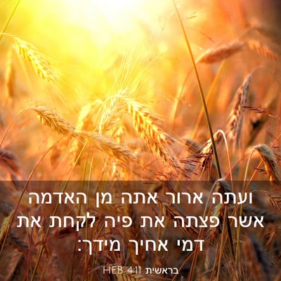 Picture 03 - בראשית 4:11 HEB - ועתה ארור אתה מן האדמה אשר - Bible Verse Picture