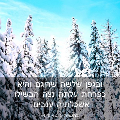 Picture 03 - בראשית 40:10 HEB - ובגפן שלשה שריגם והיא - Bible Verse Picture