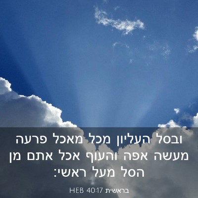 Picture 03 - בראשית 40:17 HEB - ובסל העליון מכל מאכל פרעה - Bible Verse Picture