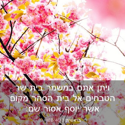 Picture 03 - בראשית 40:3 HEB - ויתן אתם במשמר בית שר - Bible Verse Picture