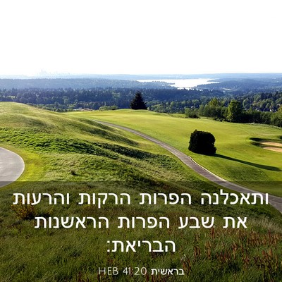 Picture 03 - בראשית 41:20 HEB - ותאכלנה הפרות הרקות והרעות - Bible Verse Picture