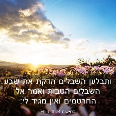 Picture 03 - בראשית 41:24 HEB - ותבלען השבלים הדקת את שבע - Bible Verse Picture