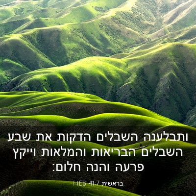 Picture 03 - בראשית 41:7 HEB - ותבלענה השבלים הדקות את - Bible Verse Picture