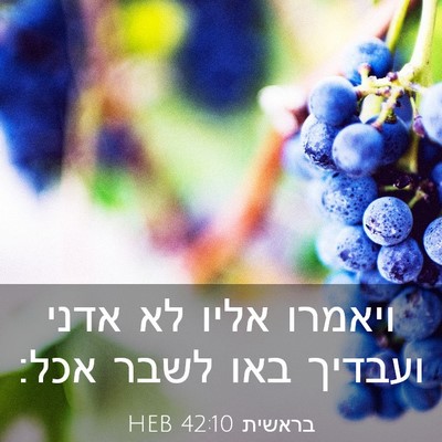 Picture 03 - בראשית 42:10 HEB - ויאמרו אליו לא אדני ועבדיך - Bible Verse Picture