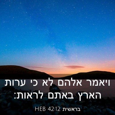 Picture 03 - בראשית 42:12 HEB - ויאמר אלהם לא כי ערות הארץ - Bible Verse Picture