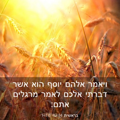 Picture 03 - בראשית 42:14 HEB - ויאמר אלהם יוסף הוא אשר - Bible Verse Picture