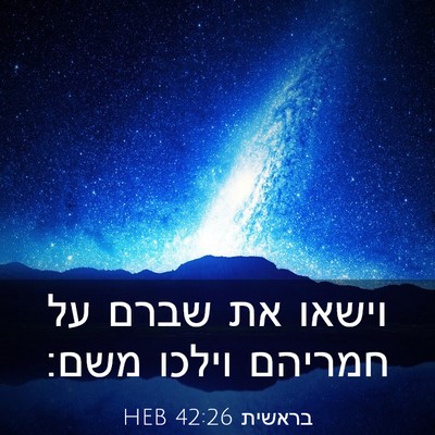 Picture 03 - בראשית 42:26 HEB - וישאו את שברם על חמריהם - Bible Verse Picture