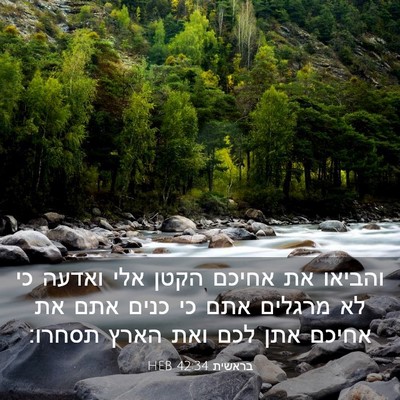 Picture 03 - בראשית 42:34 HEB - והביאו את אחיכם הקטן אלי - Bible Verse Picture