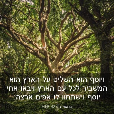 Picture 03 - בראשית 42:6 HEB - ויוסף הוא השליט על הארץ הוא - Bible Verse Picture