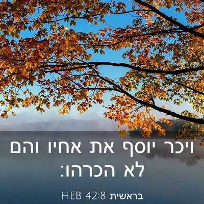 Picture 03 - בראשית 42:8 HEB - ויכר יוסף את אחיו והם לא - Bible Verse Picture