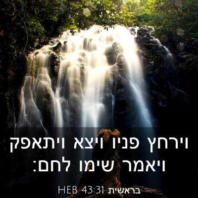 Picture 03 - בראשית 43:31 HEB - וירחץ פניו ויצא ויתאפק - Bible Verse Picture