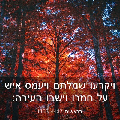 Picture 03 - בראשית 44:13 HEB - ויקרעו שמלתם ויעמס איש על - Bible Verse Picture