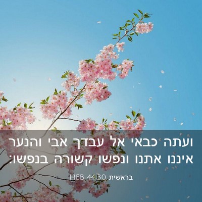 Picture 03 - בראשית 44:30 HEB - ועתה כבאי אל עבדך אבי והנער - Bible Verse Picture
