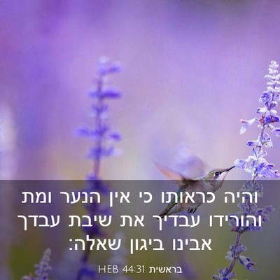 Picture 03 - בראשית 44:31 HEB - והיה כראותו כי אין הנער ומת - Bible Verse Picture