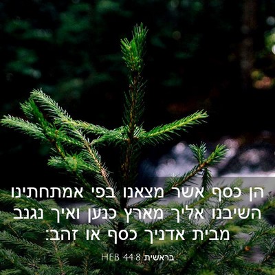 Picture 03 - בראשית 44:8 HEB - הן כסף אשר מצאנו בפי - Bible Verse Picture