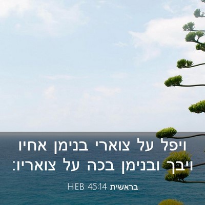 Picture 03 - בראשית 45:14 HEB - ויפל על צוארי בנימן אחיו - Bible Verse Picture