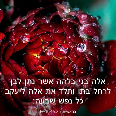 Picture 03 - בראשית 46:25 HEB - אלה בני בלהה אשר נתן לבן - Bible Verse Picture