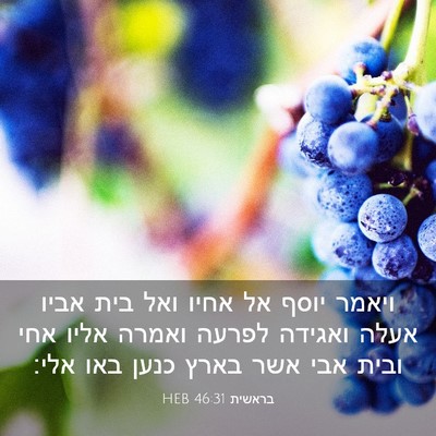 Picture 03 - בראשית 46:31 HEB - ויאמר יוסף אל אחיו ואל בית - Bible Verse Picture